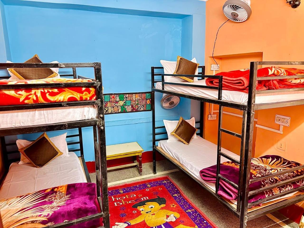 Homestay Little